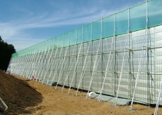 ��ƿ������