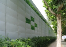 ��ƿ������