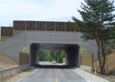 ȥ�չ�����