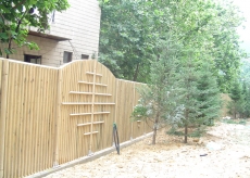 ȥ�չ�����