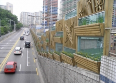 ȥ�չ�����