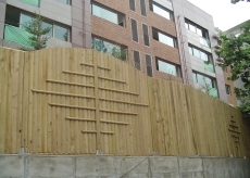 ȥ�չ�����