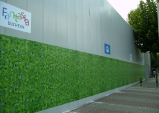 RPP�����ǳ�