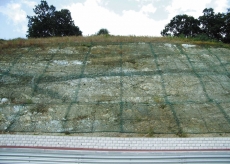 ��������å