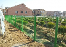 �޽��ӽ�-�Ϲ���