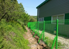 �޽��ӽ�-�Ϲ���