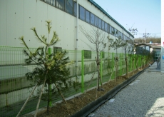 �޽��ӽ�-�Ϲ���