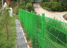 �޽��ӽ�-D��