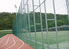 ü���ü����ӽ�